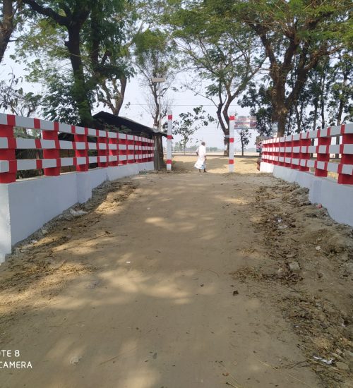 Culvert / Bridge Construction